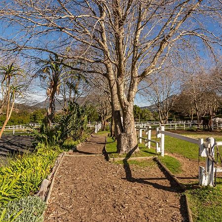 Novelle Vista Cottage Hout Bay Exterior photo