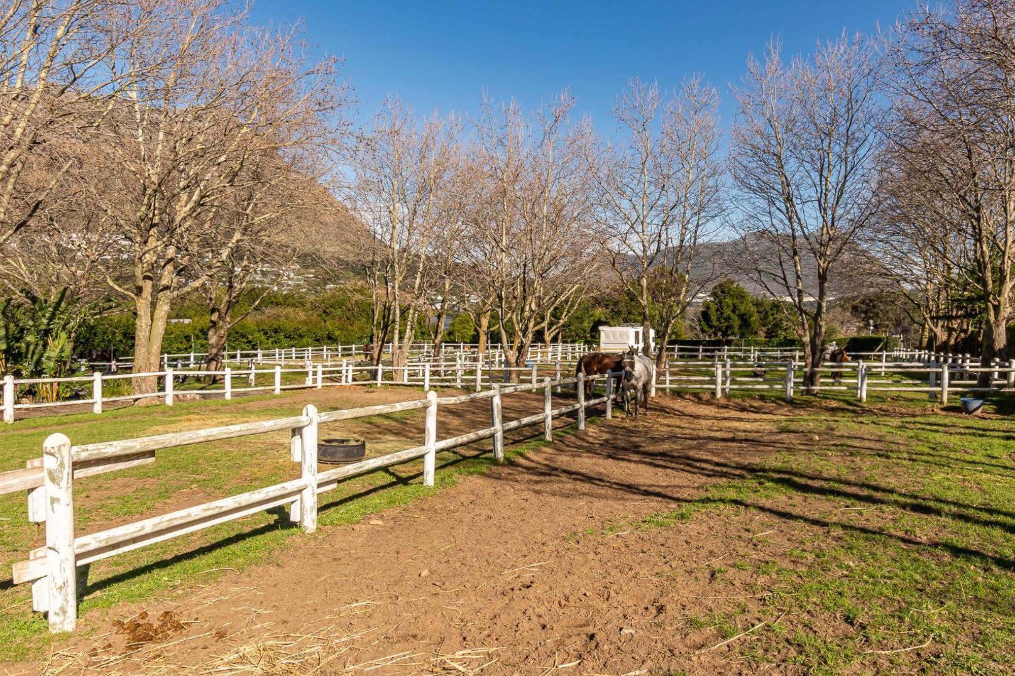 Novelle Vista Cottage Hout Bay Exterior photo