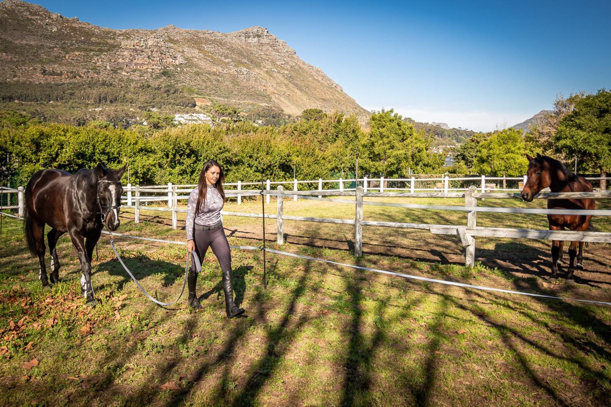 Novelle Vista Cottage Hout Bay Exterior photo